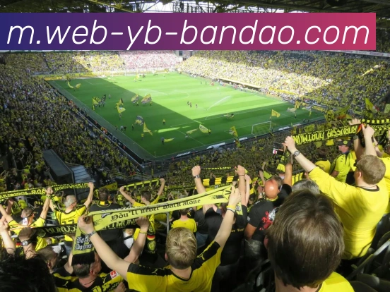 半岛体育APP 封面图